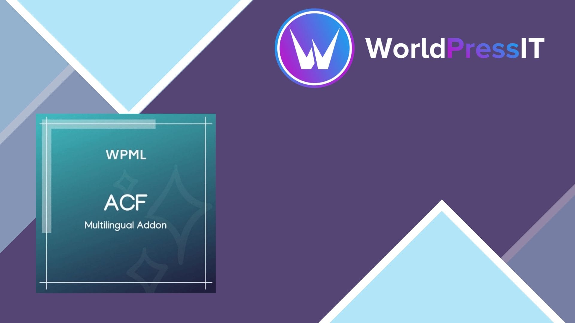 Advanced Custom Fields Multilingual: worth it if WPML is already your stack screenshot