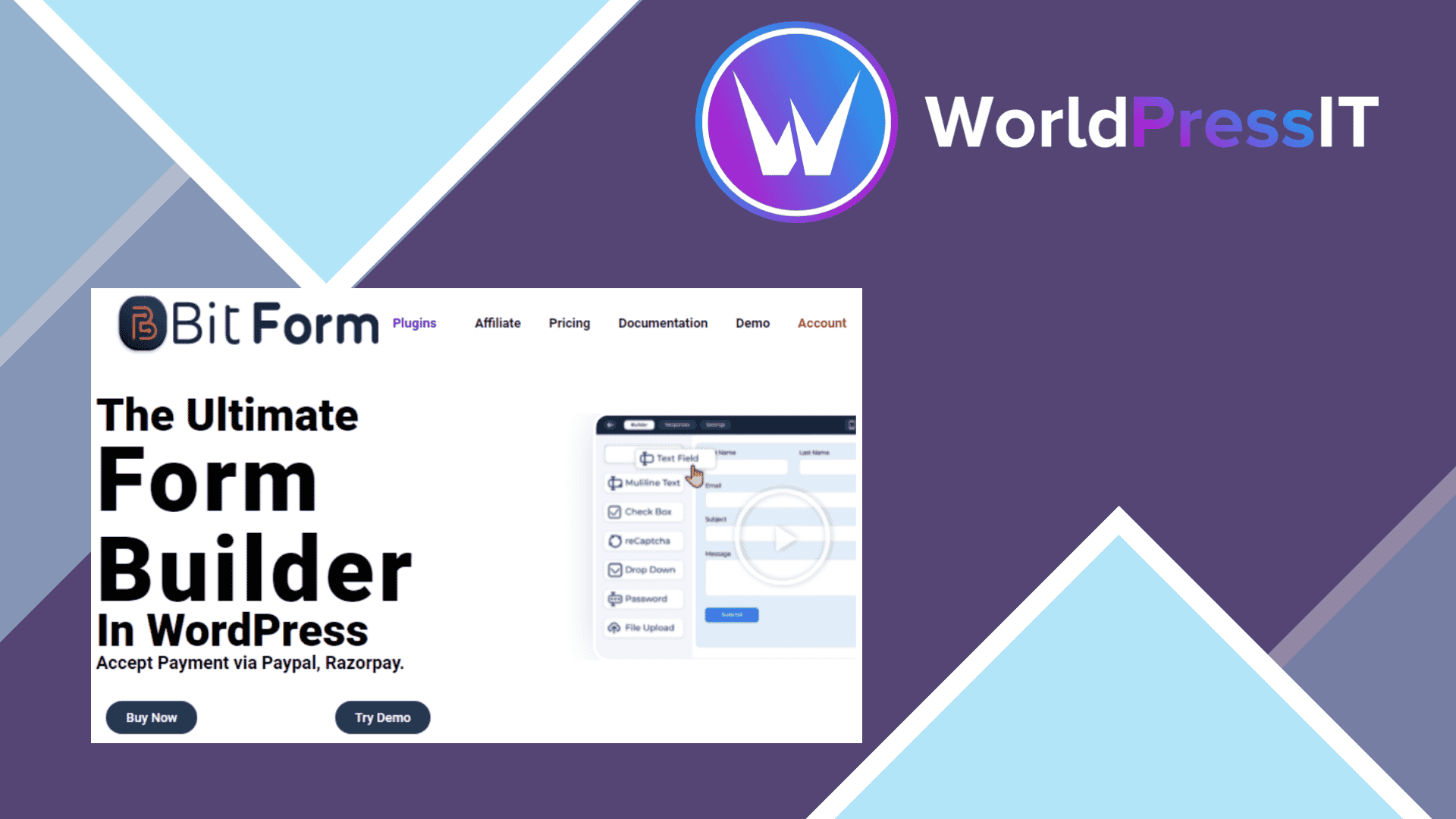 Bit Form Pro: worth it for complex workflows, not basic forms screenshot