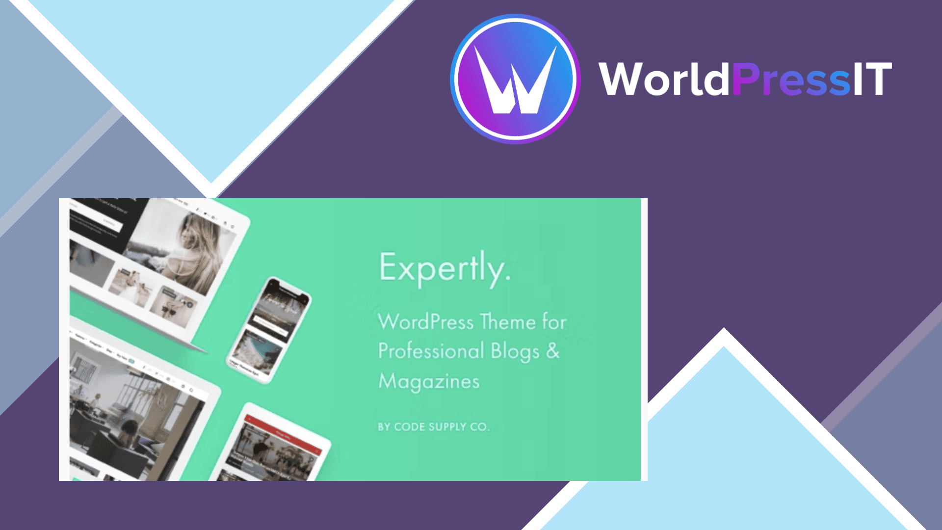 Expertly: worth it for magazine sites, not lean blogs screenshot