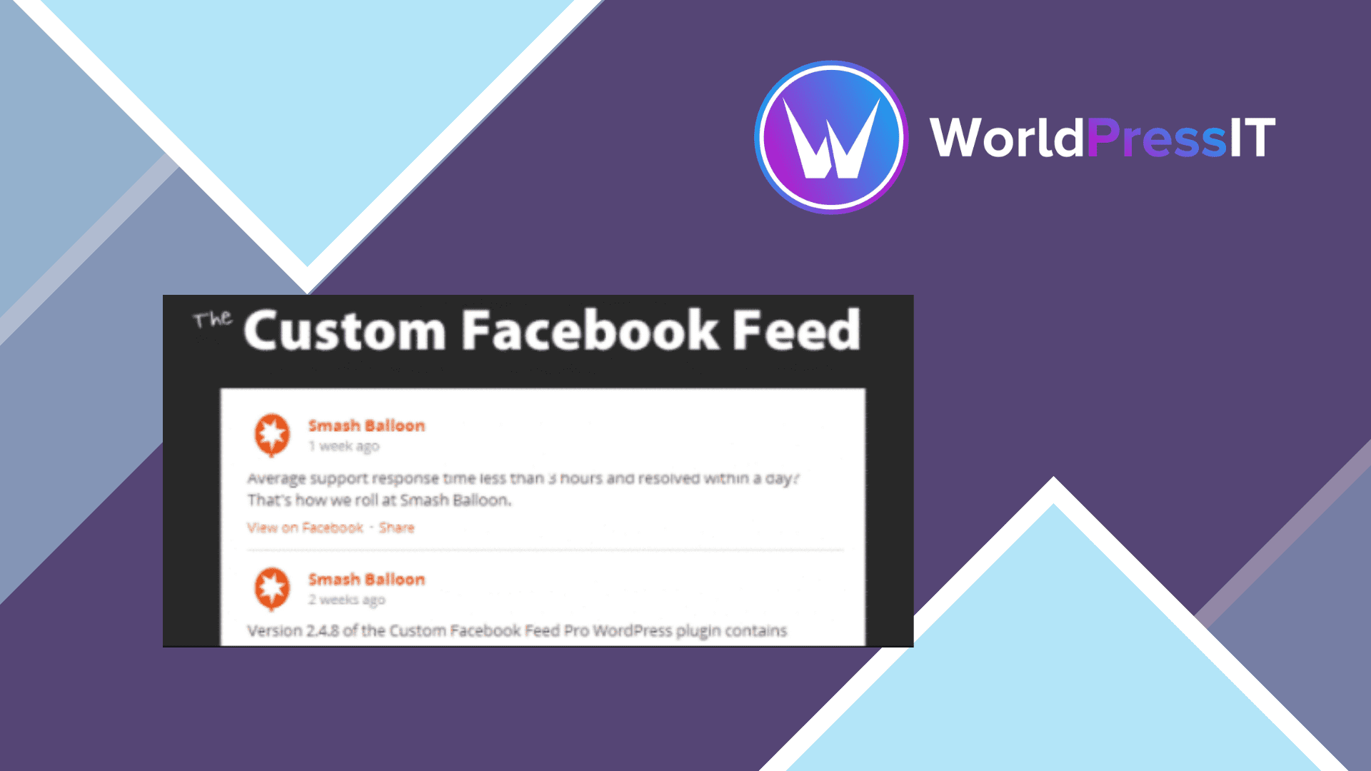 Custom Facebook Feed Pro: worth it for serious Facebook publishing screenshot