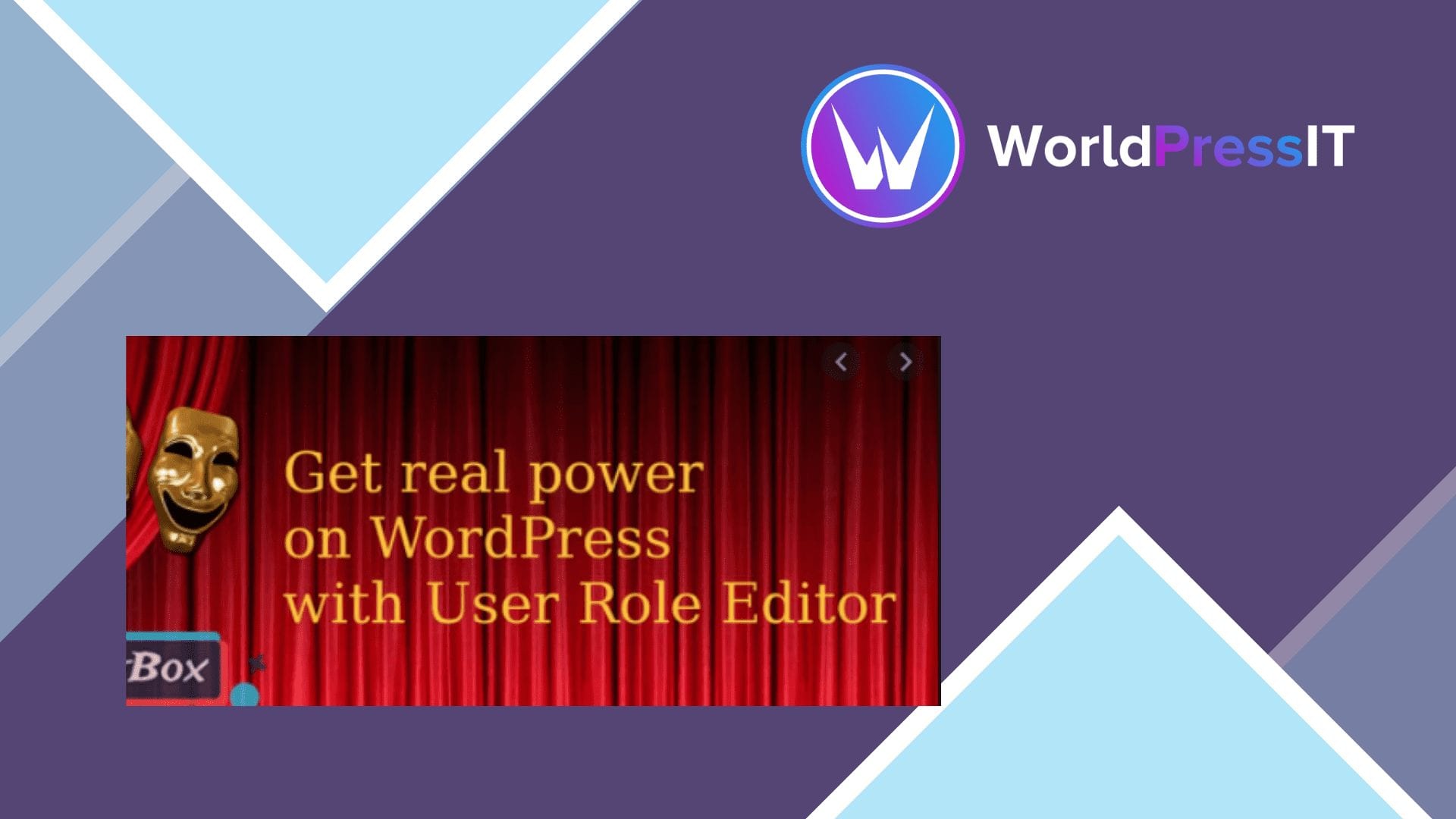 User Role Editor Pro: worth it for complex permissions, not basic roles screenshot