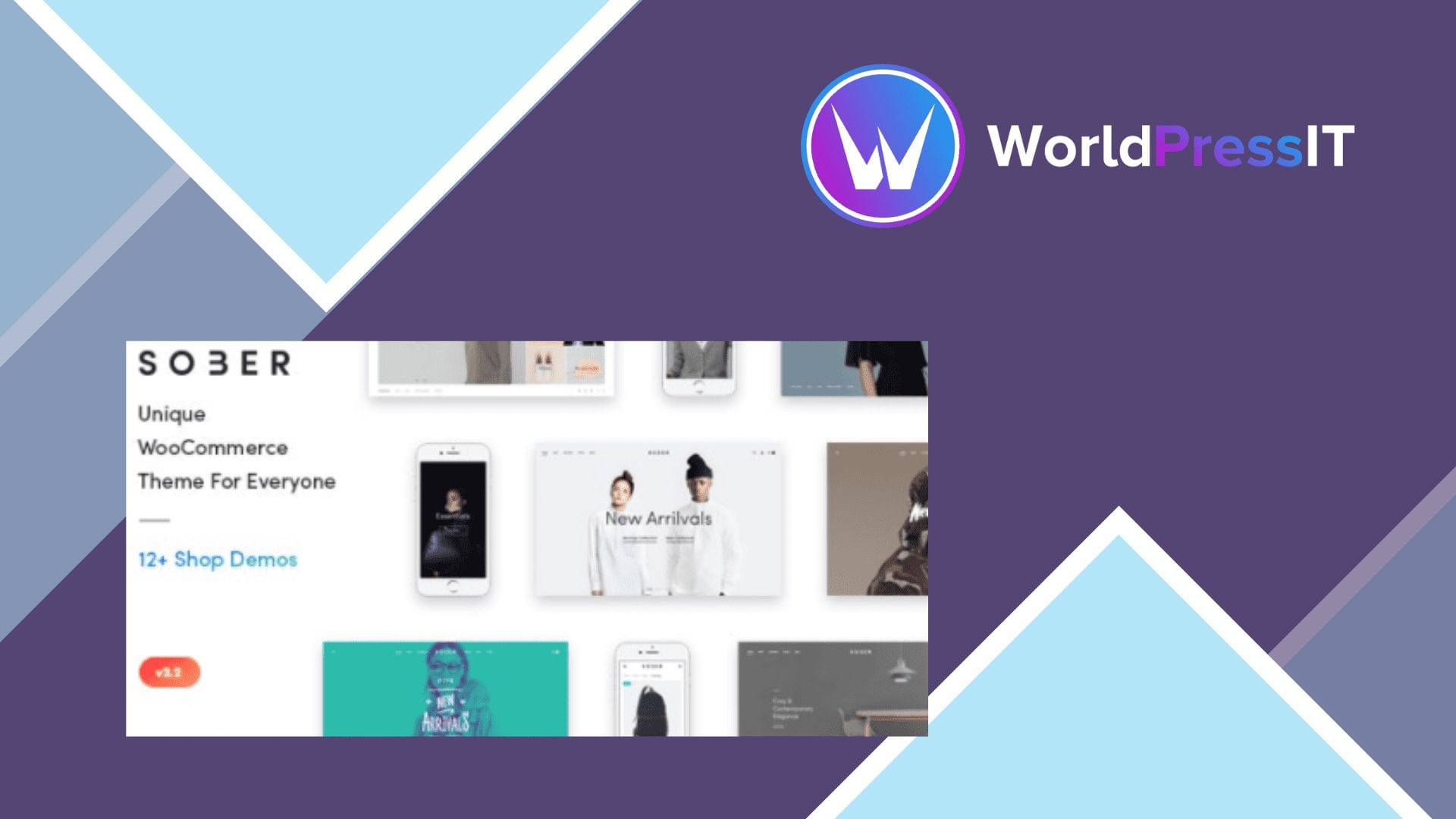 Sober: worth it for design-led WooCommerce stores, not lean builds screenshot