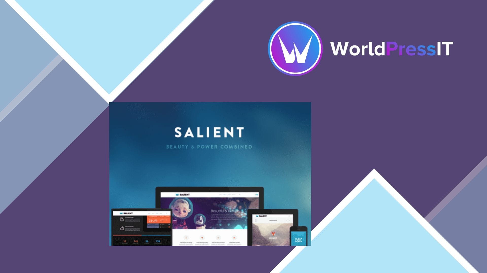 Salient: worth it for design-heavy sites, not lean builds screenshot