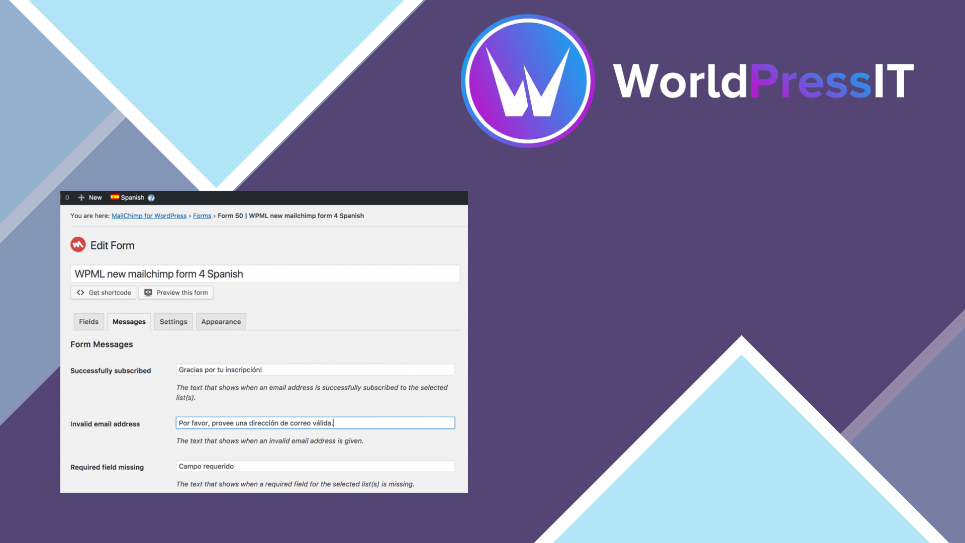 WordPress Multilingual MailChimp: worth it if WPML already runs your site screenshot