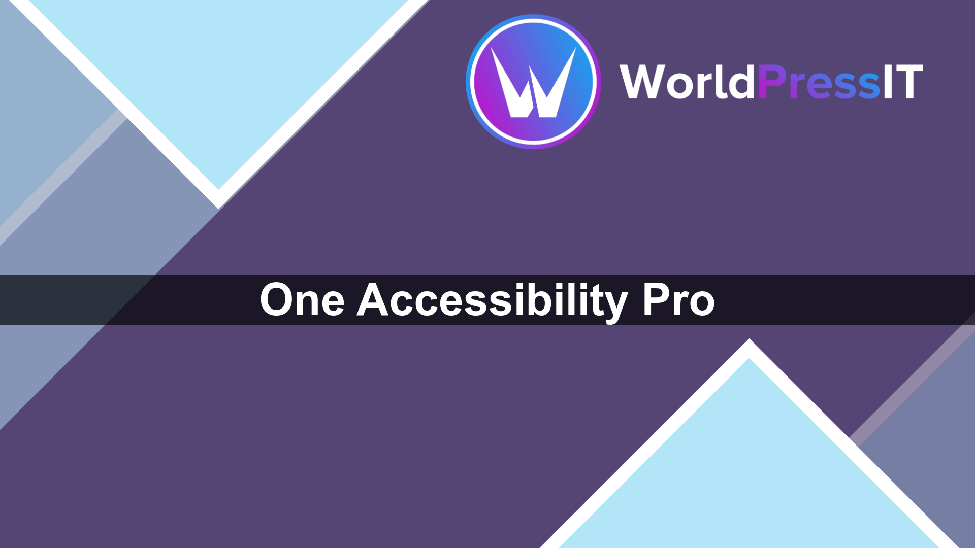 One Accessibility Pro: useful controls, not a compliance shortcut screenshot